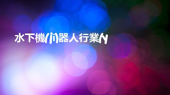 水下機(jī)器人行業(yè)標(biāo)準(zhǔn)：突破技術(shù)邊界，開啟未來之門！